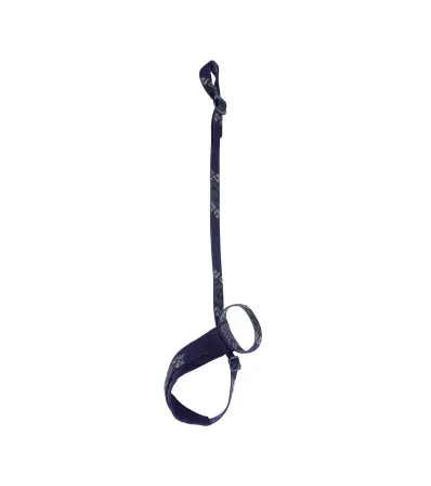 Black Diamond Lockdown Leash Winter 2024