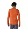 Patagonia Long-Sleeved Capilene Cool Merino Graphic Shirt M's Winter 2025
