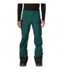 Панталон Patagonia Powslayer Pants M's