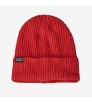 Mütze Patagonia Fisherman's Rolled Winter 2025